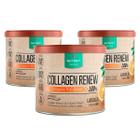 Kit 3x Potes Collagen Renew Laranja Verisol Hidrolisado 300g - Nutrify