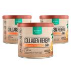 Kit 3x Potes Collagen Renew Laranja Verisol Hidrolisado 300g Renovação Colágeno Proteínas Vitaminas