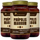 Kit 3X Própolis Marrom 500Mg 60 Cápsulas - Flora Nativa