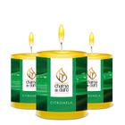 Kit 3x Vela Aromática Vela Perfumada - Várias Opçoes Perfume Aromaterapia - Chama de Ouro