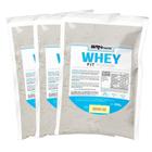 Kit 3X Whey Fit Foods 500G Baunilha - Brn Foods