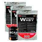 KIT 3x Whey Protein 500g + BCAA 100g Tangerina - Bodybuilders