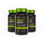 Kit 3X Zinco Quelato - 70 Cápsulas