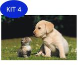 Kit 4 Adesivo Pet Shop Vet Clinica Veterinária Gato Cachorro