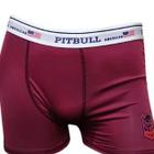 Kit 4 Cuecas Boxer Microfibra da Pitbull Lisa Premium Coloridas Premium do P ao GG