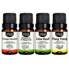 Kit 4 Essências Premium 10Ml - Frescor Elegante