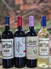 Kit 4 garrafas vinhos argentinos - Vinho Argentino