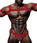 Kit 4 itens Masculino (1 Cueca Fio Dental em Tule Transparente + 1 Harness + 2 braceletes)