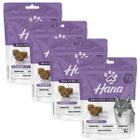 Kit 4 Petisco Hana Para Cachorro Adulto Senior 80g