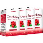 Kit 4 Potes Cranberry Suplemento Alimentar Natural Concentrado Extrato Seco Original 100% Puro Natunéctar 240 Cápsulas
