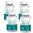 Kit 4 Potes Magnésio malato Natunectar 240 Cápsulas 260mg Suplemento Alimentar Malato 100% Puro Natural Original Mineral - Natunéctar