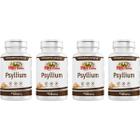 Kit 4 Psyllium 500mg 120 Cápsulas - Rei Terra