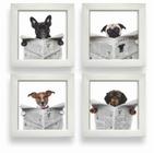 Kit 4 Quadros Decorativos Banheiro Toalete Lavabo Dog Jornal