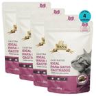 Kit 4 Snacks Hana Healthy Life Castrated Gatos Adultos- 60G