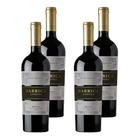 Kit 4 Vinhos Barrica Andina Merlot Tinto Chile 750ml