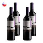 Kit 4 Vinhos Ventisquero Clásico Syrah Tinto Chile 750ml