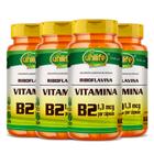 KIT 4 VITAMINA B2 RIBOFLAVINA - 60 Cápsulas 500mg UNILIFE