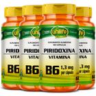 Kit 4 vitamina b6 - piridoxina - 60 caps de 500 mg unilife