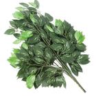 Kit 48 Ramos Decoração Arranjo Fícus Artificial Verde 14 Galhos Cada 60cm