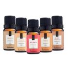 Kit 5 Essências Aromatizador Elétrico Via Aroma Vários Aromas Escolha Sua Essência