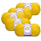 Kit 5 Lã Fio Abece Baby e Kids Circulo 430m/100g - Circulo S/A