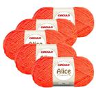 Kit 5 Lã Fio Linha Alice Circulo - 200m/100g - Circulo S/A