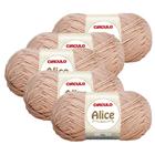 Kit 5 Lã Fio Linha Alice Circulo - 200m/100g