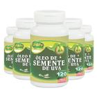 Kit 5 Óleo de Semente de Uva 1200mg 120 cápsulas Unilife