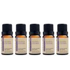 Kit 5 Óleo Essencial Lavanda Via Aroma 10ml Lavandula Angustifolia