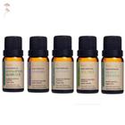 Kit 5 Óleos Essenciais Via Aroma: Lavanda, Eucaliptus, Menta, Alecrim e Melaleuca(Tea Tree) - 100% Puros e Naturais