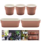 Kit 5 Peças Jardim Vaso Autoirrigável Plantar Flor Tempero Plástica - Ou