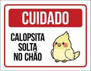 Kit 5 Placas Cuidado Calopsita Solta No Chão 36X46