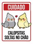 Kit 5 Placas Cuidado Calopsitas Soltas Chão 36X46