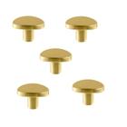 Kit 5 Puxador Beetle Zen Dourado (Fosco) Zp5403.955 Ponto
