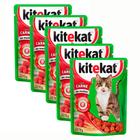 Kit 5 Ração para Gatos KiteKat Adulto Sabor Carne 70g