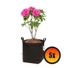 Kit 5 Vasos Para Plantas Com Alças 4 Litros De Feltro