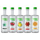 Kit 5 vodkas russa greenline - sabores 700ml