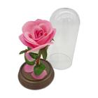 Kit 50 Mini Flores Rosas A Bela E A Fera O Pequeno Príncipe