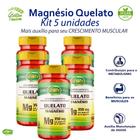 Kit 5x Magnésio Quelato 700mg Unilife Vegano 300 Cápsulas