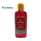 Kit 6 Aromatizante Concentrado Desinfetante Perfumado Essência Ambiente 140ml Senalândia - Envio Já