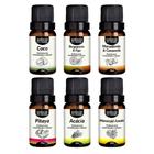 Kit 6 Essências Premium 10Ml - Aromas Exuberantes