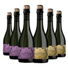 Kit 6 Garrafas Espumante Don Silvestre Demi Sec e Brut