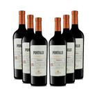 Kit 6 portillo malbec - Salentein