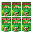 Kit 6 Ração para Cães Dog Chow Purina Extra Life Adultos Sabor Cordeiro Sachê 100g