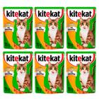Kit 6 Ração para Gatos KiteKat Adulto Sabor Frango ao Molho 70g