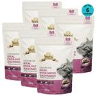 Kit 6 Snacks Hana Healthy Life Castrated Gatos Adultos- 60G