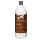 Kit 6 Und Condicionador Alyne Profissional Coco 1l