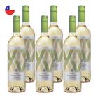 Kit 6 Vinhos Errazuriz Collection Sauvignon Blanc Branco Chile 750ml - Vinedos Errazuriz Ovalle