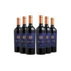 Kit 6 Vinhos Origem Tinto Seco Merlot Casa Valduga 750Ml