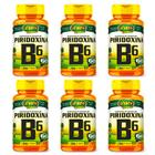 KIT 6 VITAMINA B6 PIRIDOXINA - 60 Cápsulas 500mg UNILIFE